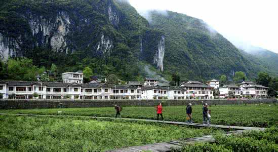 湖北恩施宣恩县 湖北恩施宣恩结婚视频 2017湖北茶文化旅游启动仪式在恩施宣恩举行