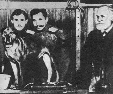 巴甫洛夫 巴甫洛夫 巴甫洛夫传_巴甫洛夫