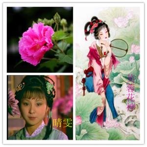 红楼梦芙蓉女儿诔 红楼梦（十八）芙蓉女儿誺