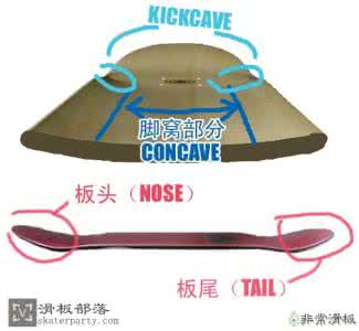 滑板的构造 滑板的构造是什么样