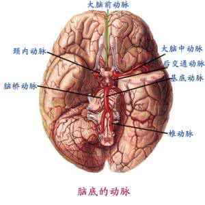 中枢神经系统白血病 什么是中枢神经系统白血病