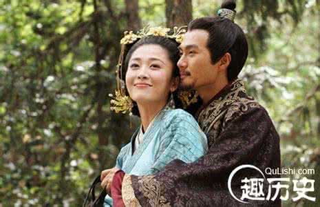 卫青和平阳公主的小说 卫青 卫青的妻子平阳公主