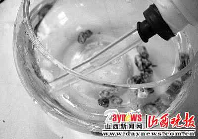 鱼缸清洁器 自制鱼缸清洁器