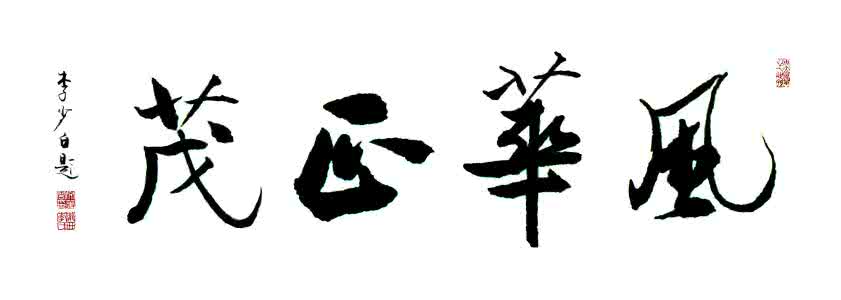 风华正茂的意思是什么 风华正茂的意思 【风华正茂是什么意思】风华正茂的意思解析