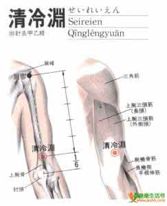 高清图解清冷渊穴位位置图