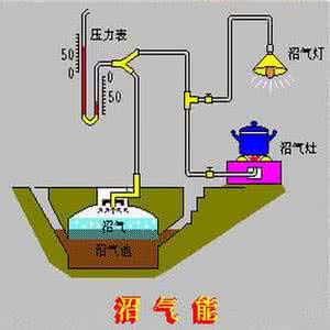 生物气怎么形成 生物气