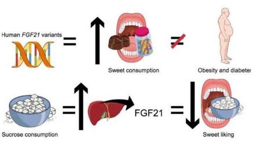 肝脏疾病的症状 用营养治疗肝脏疾病、安全又彻底！