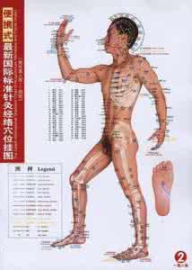 中国针灸经络通鉴pdf 针灸经络穴位图解 pdf 十二经络上的针灸保健穴位(二)
