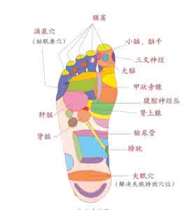 老中医治失眠 老中医：睡不着，揉脚跟 脚底按摩，从脚治失眠