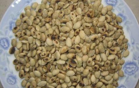 炒白扁豆的功效与作用 炒白扁豆的功效与作用 白扁豆的功效和作用