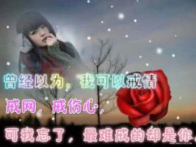 lzsb翻过来 人生亦是一页一页真实翻过来的