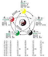 脏腑机能调整按摩法 脏腑 内热能把脏腑烧坏吗?