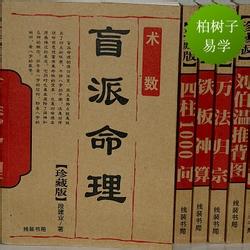 莫亚四柱八字高级班3 2004年段建业四柱高级班济南完整讲义(已有书)