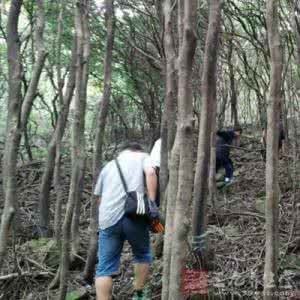 男人减肥方法瘦肚子 冬天减肥方法 男人如何在冬天瘦一圈