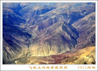 中国科学院青藏高原所 青藏高原 千万年来，在中国的青藏高原生息着一种叫做蝙蝠蛾的昆虫。这是一...阅读答案