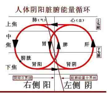 医间道 医间道16-19