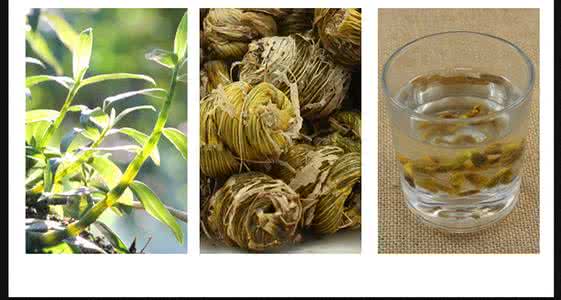 枫斗铁皮石斛种植方法 铁皮枫斗(石斛)怎么种?