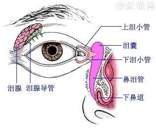 泪腺战士 有没有一张 戳到你的泪腺？越看越想哭。。。。。。