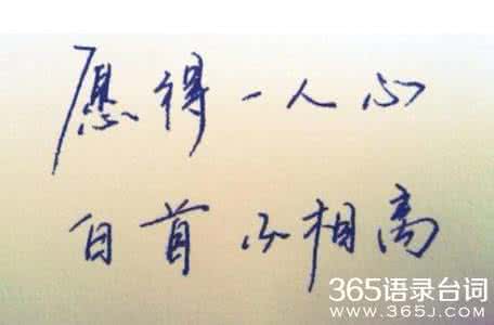 白头不相离什么意思 愿得一心人,白头不相离。