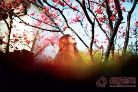 摄影构图技巧 摄影构图方法 十三种摄影构图技巧