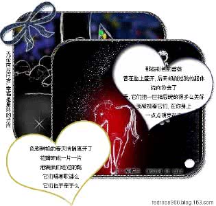 怎么向左向右打方向盘 无论向左向右，幸福是最终的方向