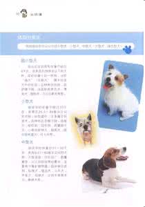 邪恶少女漫画之乖狗狗 【狗狗训练手册】训狗ABC乖狗狗养成手册_狗狗训练手册