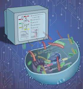 生物信息学 癌症 新型生物信息学软件帮助预测癌症相关突变的效应
