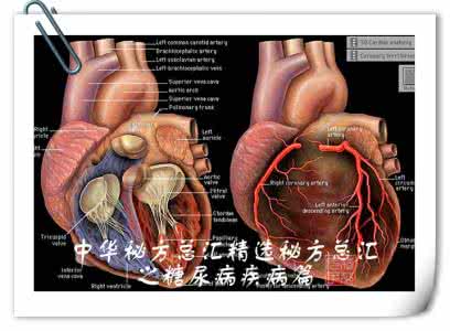 中华秘方总汇 中华秘方总汇精选秘方总汇之糖尿病疾病篇