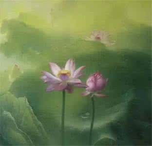 花开花落的人生感慨 缘聚缘散是人生，花开花落又何尝不是人生？