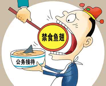 中国禁止吃鲨鱼鱼翅 禁止公款吃鱼翅何需再等三年?