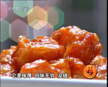 科脉天天饮食v8说明书 图说天天饮食