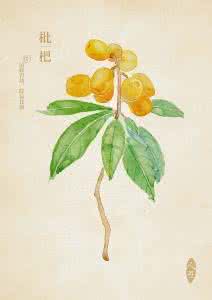 降气化痰是什么意思 降气