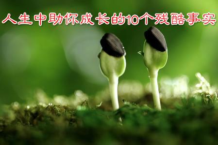 人生之残酷 人生中助你成长的10个残酷事实