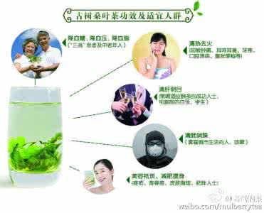桑叶茶能降血糖吗 现代人糖尿病预防与桑叶茶降血糖作用