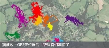 耀武扬威 为什么有权利的中国人喜欢耀武扬威