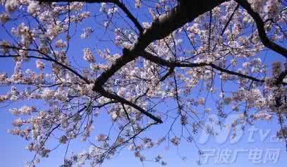 春季多发病 专家四高招 谨防春季多发病
