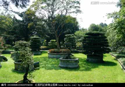 园林植物配置 558种园林植物配置大全（必收藏）