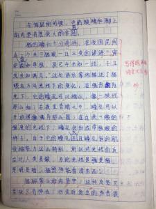 说明文写法有什么特点 说明文写什么最好写?