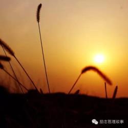 做互助盘会抓坐牢么 是你的走不掉，不是你的抓不牢！