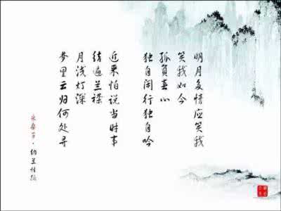 纳兰词中最唯美的句子 唯美纳兰词,百读不厌。
