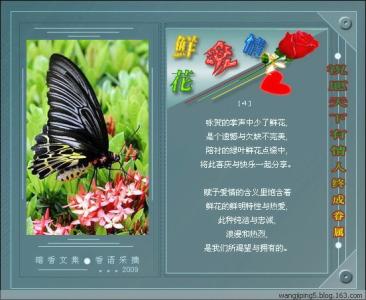 图文音画教程 爱情物语！【图文音画】