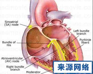 心律失常是心脏病吗 莫名心悸是心律失常！数手指操让心脏永远年轻