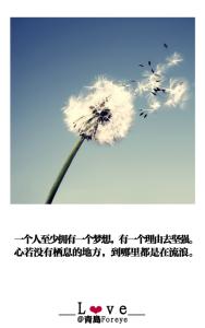 心若没有栖息的地方 美文共享 【美文共享】心若没有栖息的地方，到哪里都是流浪