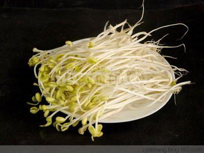 无公害豆芽 想吃无公害豆芽，跟我学