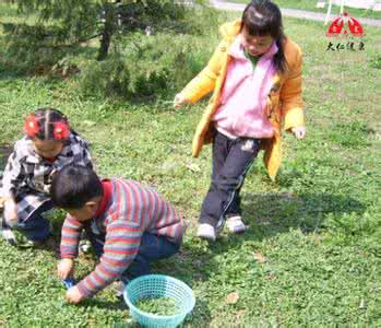地里的野菜能治病 春天到，湖南这些野菜是治病良药！再不摘就没了！