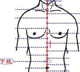 人体三大营养物质 人体自带三大“健胃良药”在哪