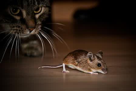 把人性看得很透彻的人 把人性说得最透彻的10个心理短片:壹心理2013年度精选系列