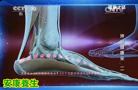 健康之路越抻越长寿 健康之路20150304视频和笔记:金阳讲抻筋保护脚踝 抻筋缓解肩膀痛 抻筋缓解手部疼痛