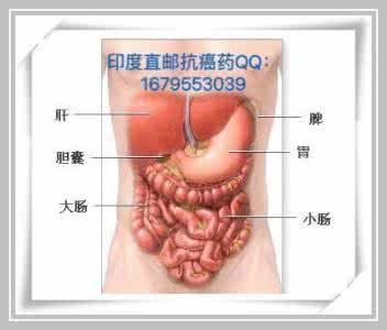 肝脏结节和肝癌区别 关于肝脏の4-肝癌