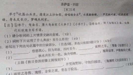 宋词鉴赏题 宋词鉴赏100题（31